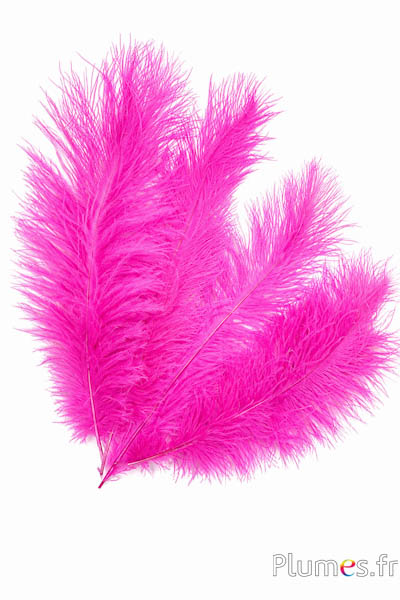 Struzzo - 30-40 cm - fucsia